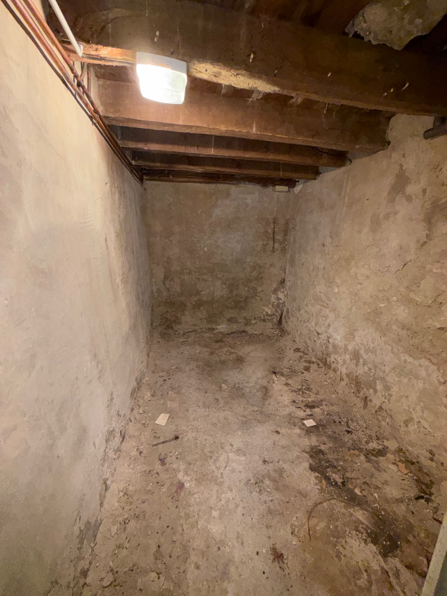 Cave à vin entièrement vidée et balayée après intervention de David Débarras