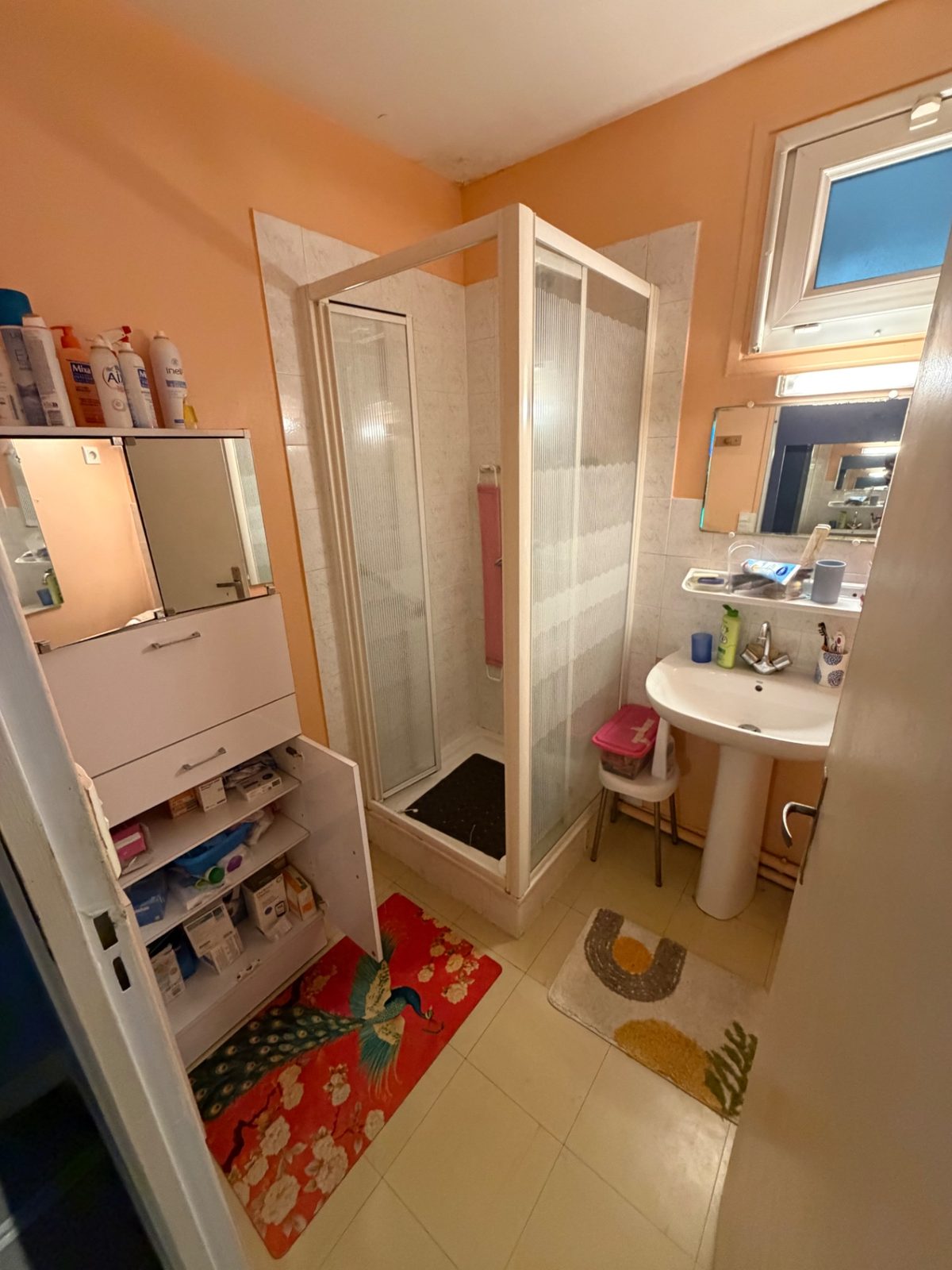 Salle de bain encombrée de produits et d'accessoires avant débarras de l'appartement à Béhobie