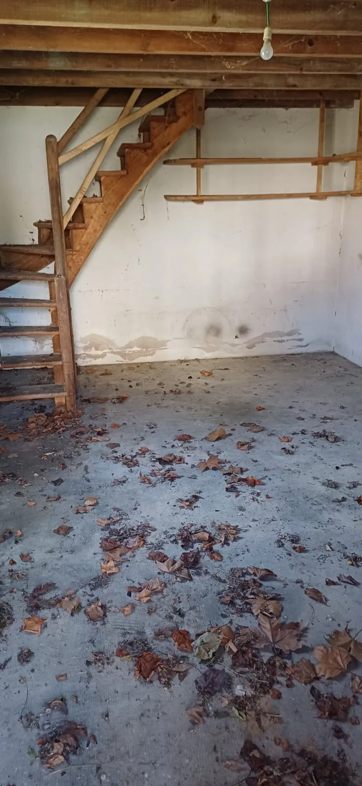 Pièce vide avec escalier en bois, après débarras